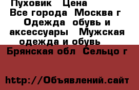 Пуховик › Цена ­ 2 000 - Все города, Москва г. Одежда, обувь и аксессуары » Мужская одежда и обувь   . Брянская обл.,Сельцо г.